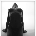 Noisette 2
