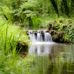 Petite cascade