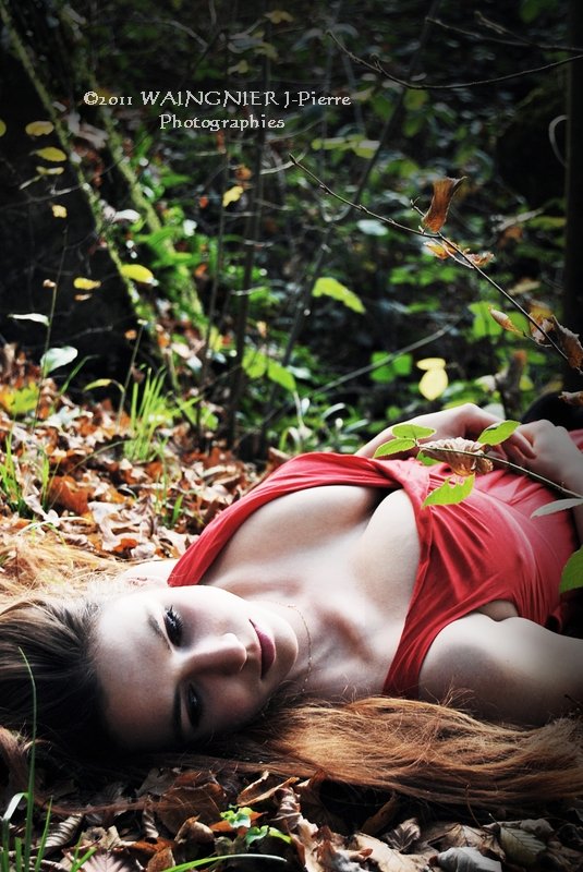 Automne