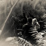 Shoots par Didier Jacquet