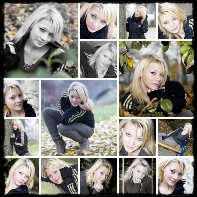 Seance du 16.11.11