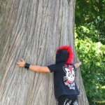 I love mister Tree