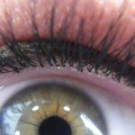 oeil