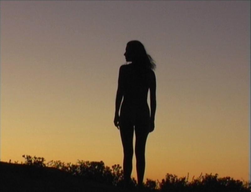 Silhouette 2