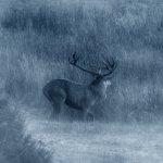 0185WJTHA0Y6SP1J0CZB1K9RPN