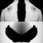 SYMETRY
