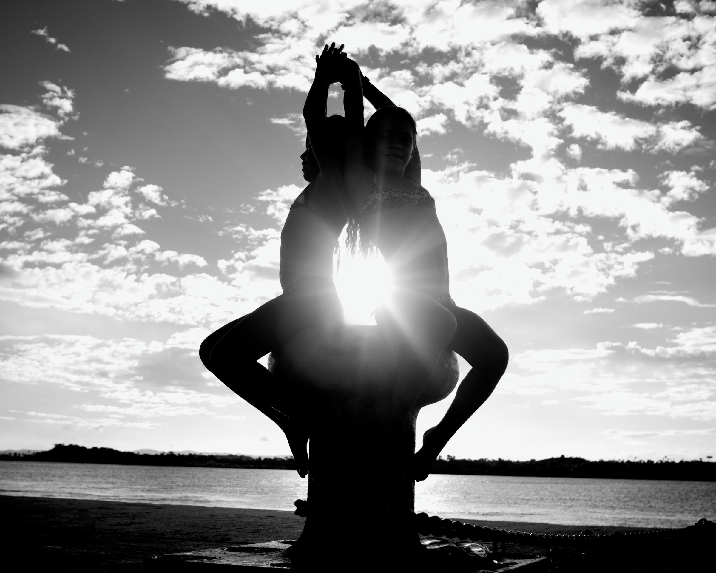 Danse du Soleil