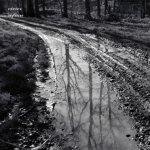 le chemin