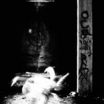 0185YWVE009S639EZRJBH5P1D1