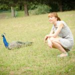 erlika et le paon pas timide