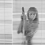 01BW3CS2M817HGSVF2XP6H545H