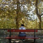 Banc