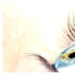 détail oeil