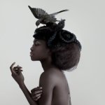 blackbird