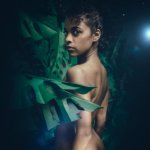 Jungle