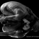 Sylvain_sans_titre5rdtthdnr