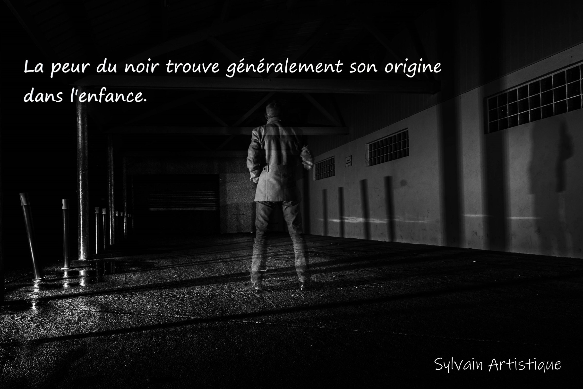 Sylvain_Sans_titre