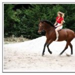 a cheval