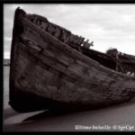 Ultime bataille