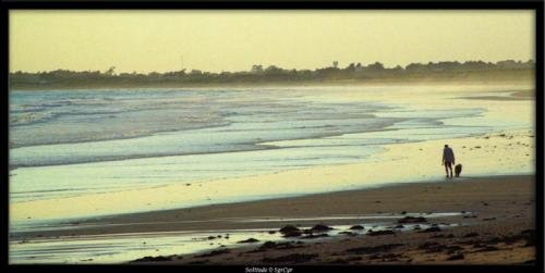 Solitude