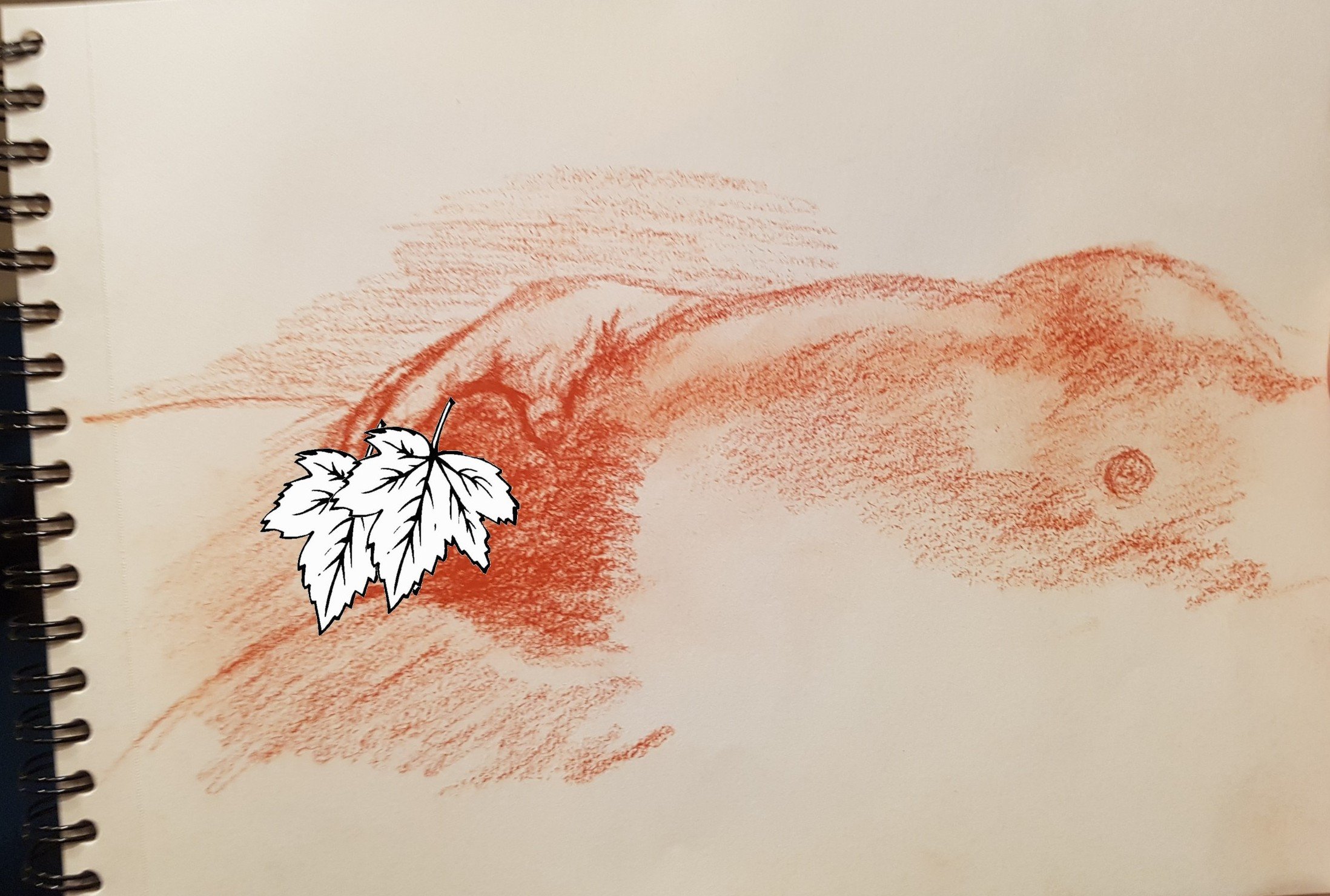 20190213_235845c