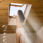 Velux