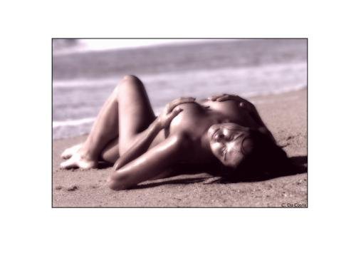 www.formaroc.com