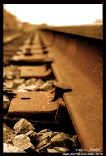 La voie du chemin