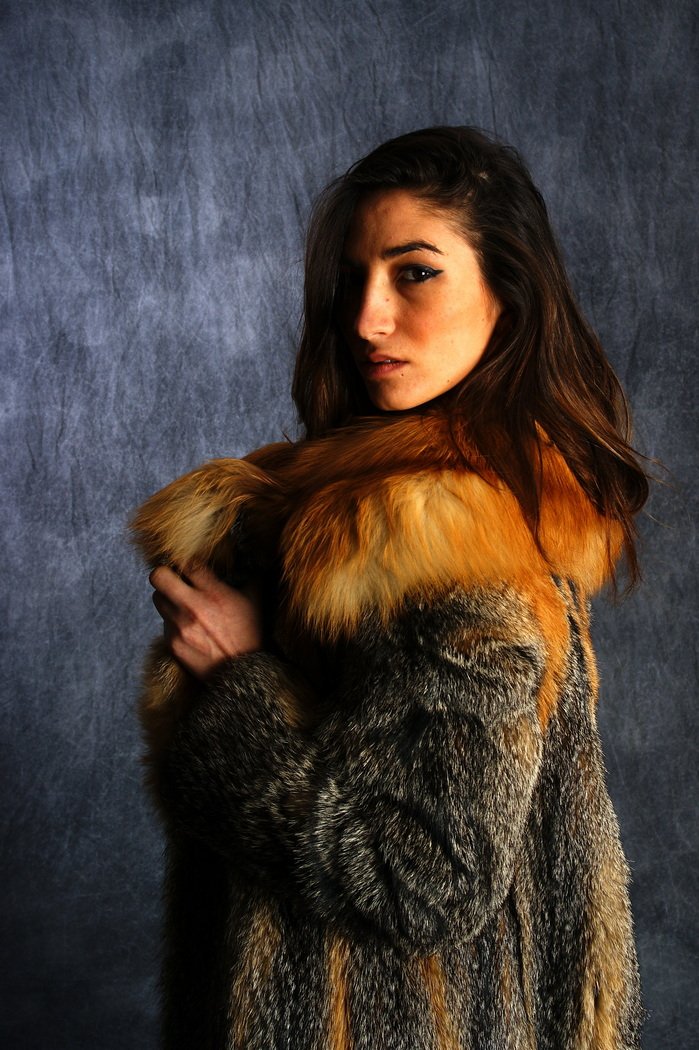 AlainSony_00_Fox_Regard