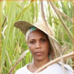 Murianne - Coupeuse de Canne