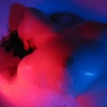 Photo amateur 3