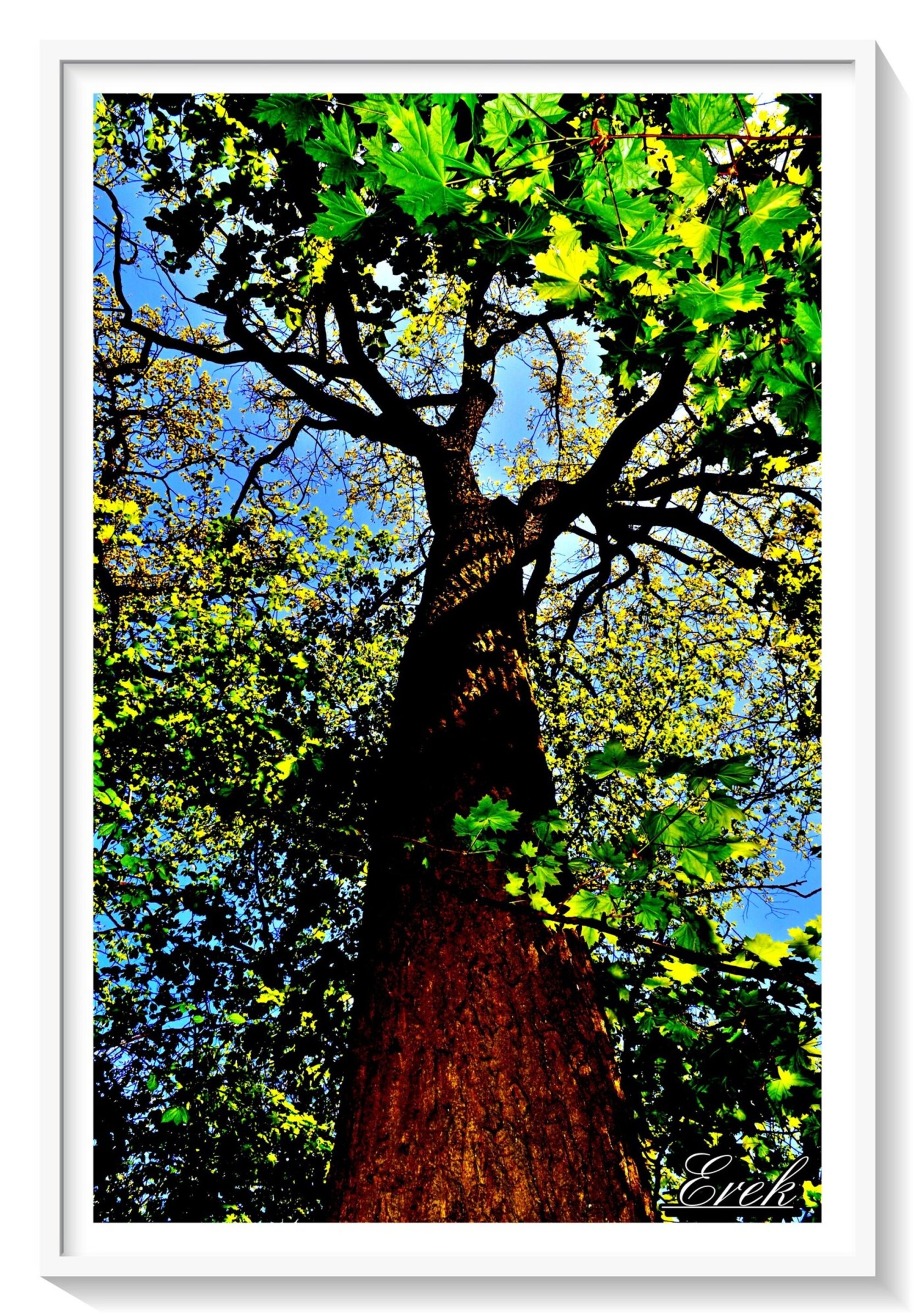 Souveraineté verte et azur