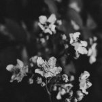 ber47_foto3