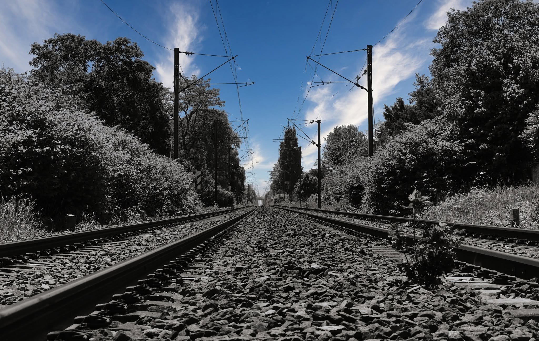 rails