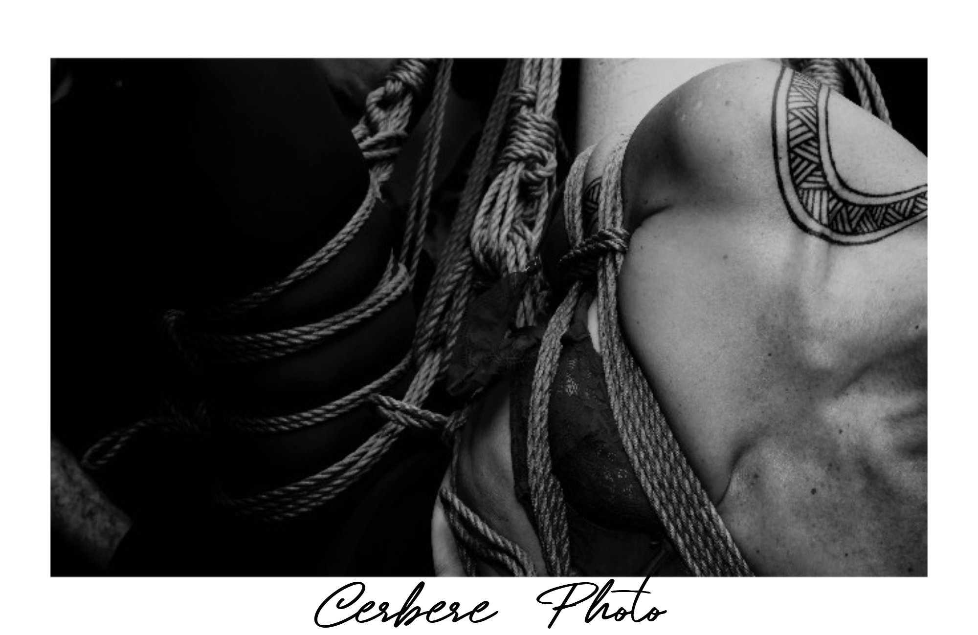 CerberePhoto_120260728194737