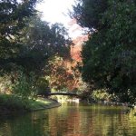 Automne