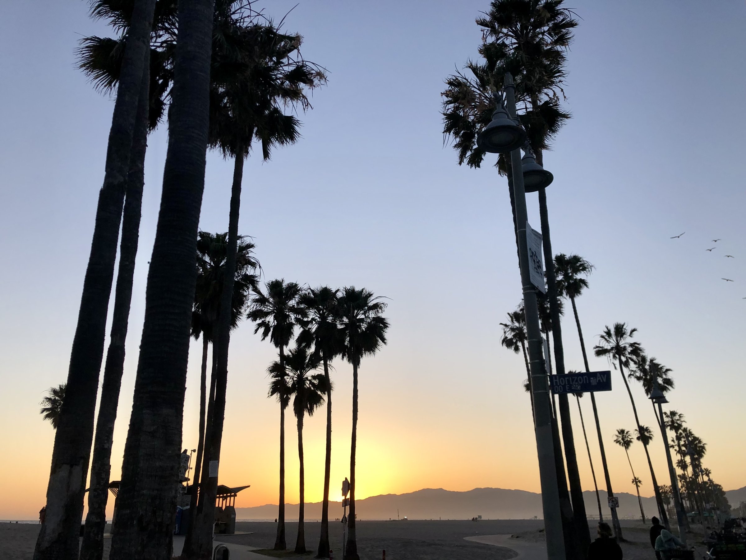 L.A 2