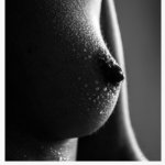 Harmonie