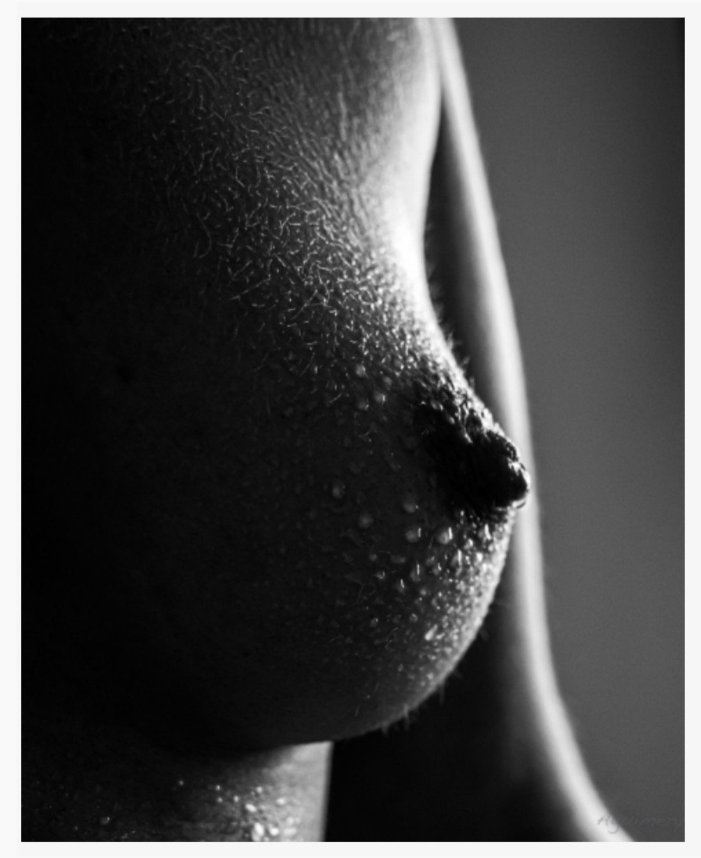 Harmonie
