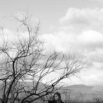 Emotion d'hiver