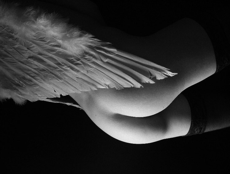 L'ange