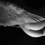 L'ange