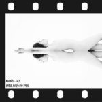 lila - Miroir