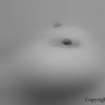FlouNB