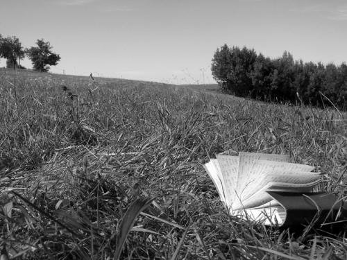 Déjeuner sur l'herbe