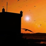 Le pêcheur d'Essaouira