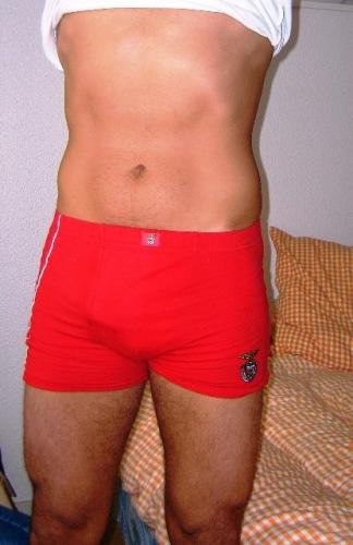 boxer