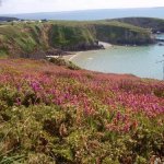 Coin de Paradis en Bretagne
