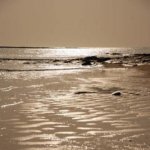 Reflet