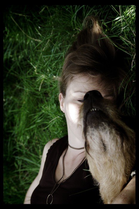 herbe